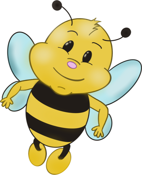 bij5 goedgekeurd alice